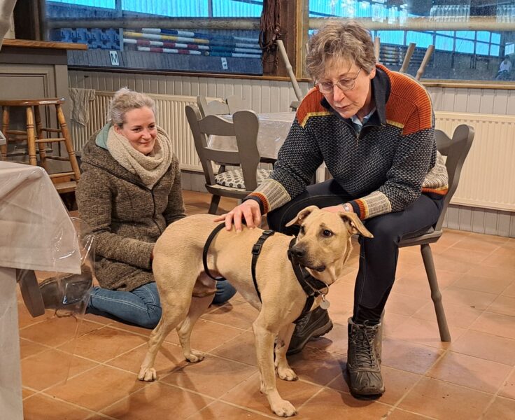 Susanne-Vahland-Pferdeosteopathin-Bremen-20250228_170952-min