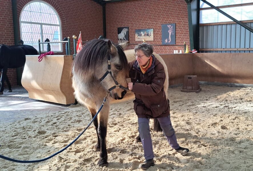 Susanne-Vahland-Pferdeosteopathin-Bremen-20250305_110758-min