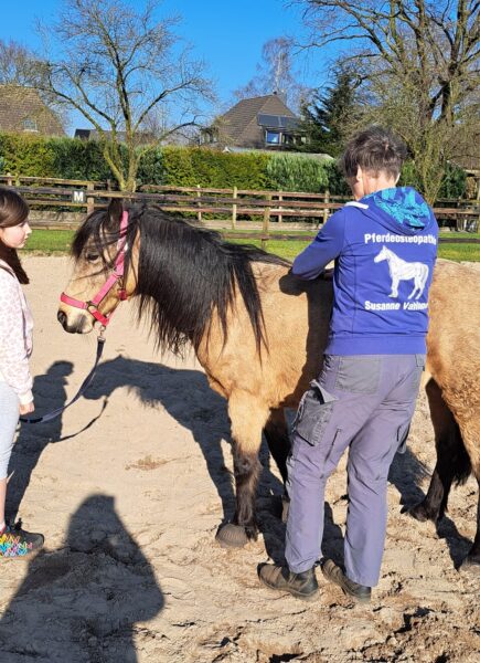 Susanne-Vahland-Pferdeosteopathin-Bremen-20250306_150858-min