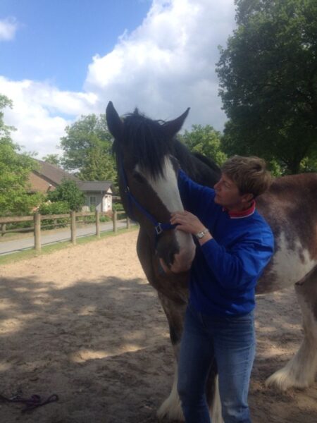 Susanne-Vahland-Pferdeosteopathin-Bremen-IMG-20140825-WA0004-min