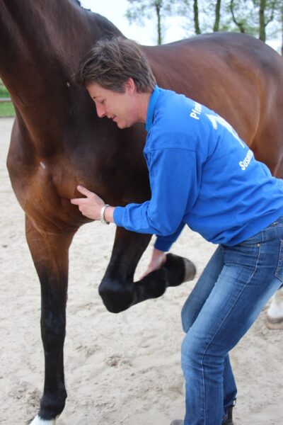 Susanne-Vahland-Pferdeosteopathin-Bremen-IMG_9620-min