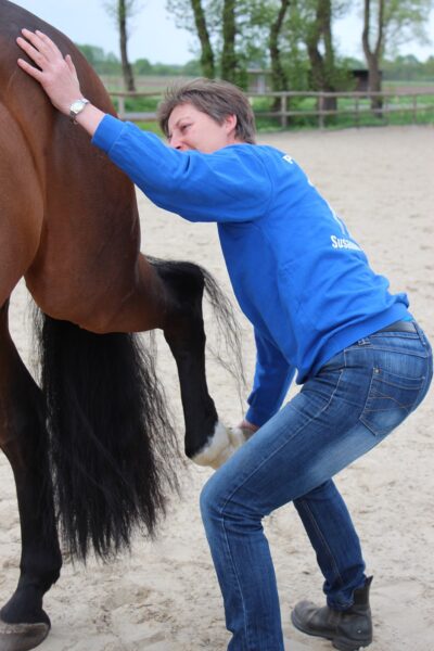 Susanne-Vahland-Pferdeosteopathin-Bremen-IMG_9625-min