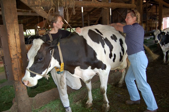 Susanne-Vahland-Pferdeosteopathin-Bremen-Osteo-dsc_0127-min