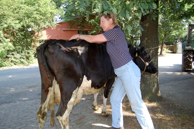 Susanne-Vahland-Pferdeosteopathin-Bremen-Osteo-dsc_0156-min