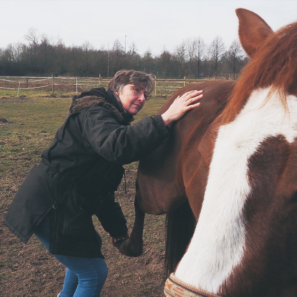 Susanne-Vahland-Pferdeosteopathin-Pferdephysiotherapie-Bremen-Niedersachsen-10-min