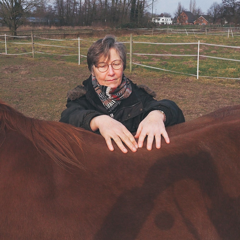 Susanne-Vahland-Pferdeosteopathin-Pferdephysiotherapie-Bremen-Niedersachsen-11-min