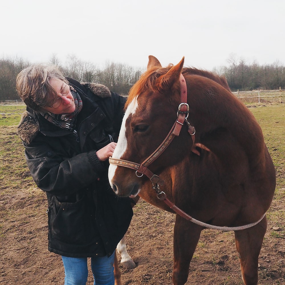 Susanne-Vahland-Pferdeosteopathin-Pferdephysiotherapie-Bremen-Niedersachsen-13-min