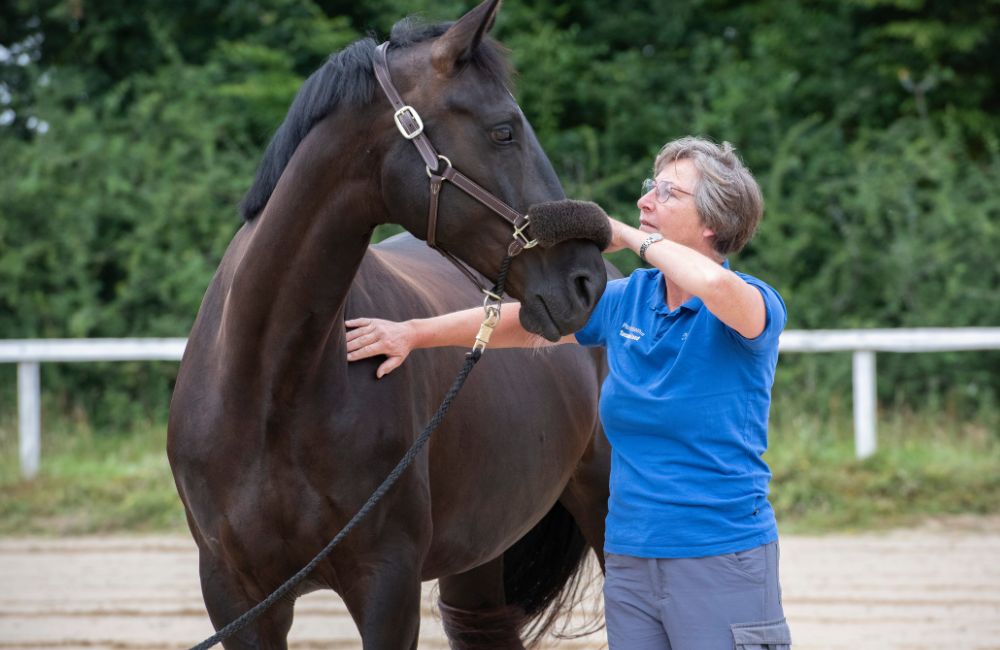 Susanne Vahland-Pferdeosteopathie-Pferdephysiotherapie-Bremen-Niedersachsen-1